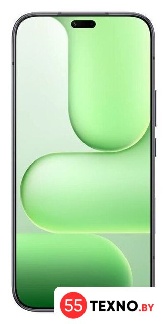 Телефон HONOR 600 Lite 8GB/256GB международная версия (вельветовый черный) - Изображение №2 — Интернет-магазин 55texno.by