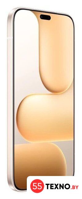 Телефон HONOR 600 Lite 8GB/256GB международная версия (пустынное золото) - Изображение №3 — Интернет-магазин 55texno.by