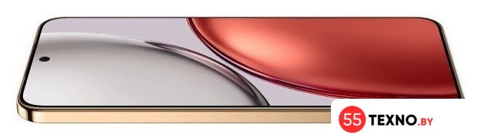 Телефон HONOR X9d 12GB/256GB международная версия (терракотовый) - Изображение №3 — Интернет-магазин 55texno.by