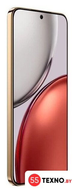 Телефон HONOR X9d 12GB/256GB международная версия (терракотовый) - Изображение №5 — Интернет-магазин 55texno.by