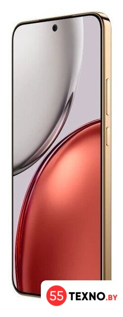 Телефон HONOR X9d 12GB/256GB международная версия (терракотовый) - Изображение №4 — Интернет-магазин 55texno.by