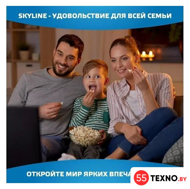 Телевизор Skyline 40LST6385 - Изображение №8 — Интернет-магазин 55texno.by