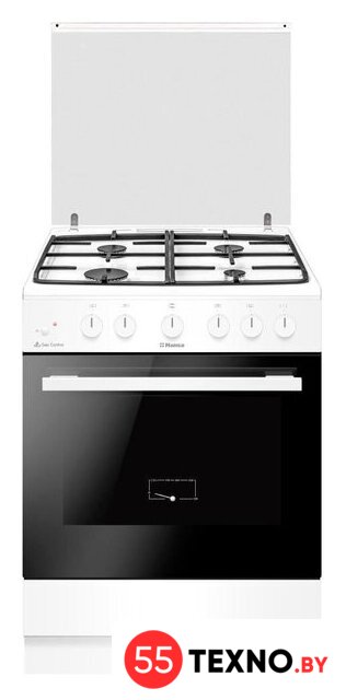 Кухонная плита Hansa FCGW63193 - Изображение №1 — Интернет-магазин 55texno.by