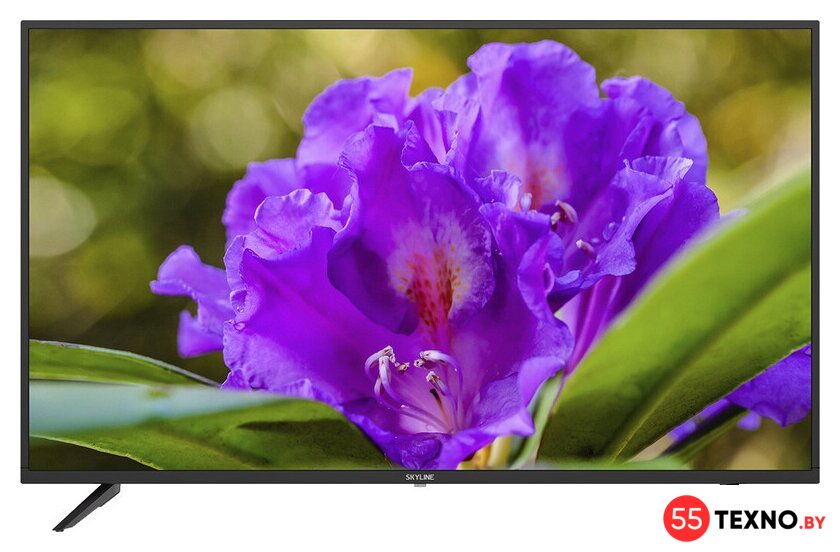 Телевизор Skyline 43LT5901 - Изображение №1 — Интернет-магазин 55texno.by