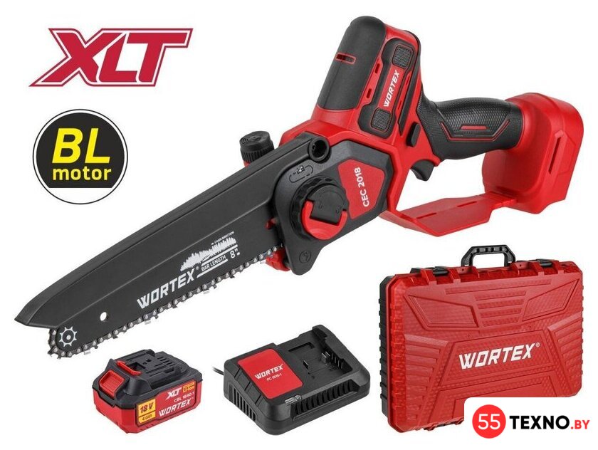 Аккумуляторная пила Wortex CEC 2018 ALL1 XLT Set 2329052 (с 1-им АКБ, кейс) - Изображение №1 — Интернет-магазин 55texno.by