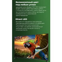 Телевизор MAUNFELD MLT43FSD02 - Превью изображения №6 — Интернет-магазин 55texno.by