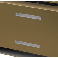 Кухонная вытяжка MAUNFELD Bath Plus 402IL (золотой) - Превью изображения №5 — Интернет-магазин 55texno.by