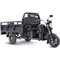 Rutrike D4 1800 60V 1500W (черный)