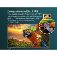 Телевизор MAUNFELD MLT43USD02G - Превью изображения №17 — Интернет-магазин 55texno.by
