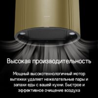 Кухонная вытяжка MAUNFELD Lee Side 397 (золотой) - Превью изображения №15 — Интернет-магазин 55texno.by