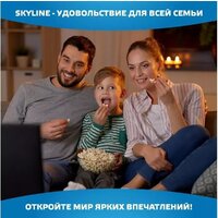 Телевизор Skyline 40LST6385 - Превью изображения №8 — Интернет-магазин 55texno.by