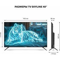 Телевизор Skyline 40LST6385 - Превью изображения №10 — Интернет-магазин 55texno.by