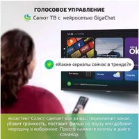 Телевизор Skyline 43LST6385 - Превью изображения №9 — Интернет-магазин 55texno.by