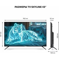 Телевизор Skyline 43LST6385 - Превью изображения №7 — Интернет-магазин 55texno.by