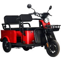 Gelbert Wanshida LC-F150 60V 1000W (красный)