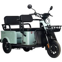 Gelbert Wanshida LC-F150 60V 1000W (зеленый)