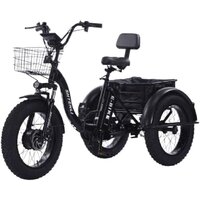 Shtenli Trike PRO li-on 48/10.4