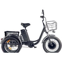 Eltreco Porter Fat 500 (черный)