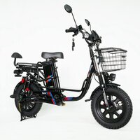 Электровелосипед Smart Balance Master 2025 - Превью изображения №8 — Интернет-магазин 55texno.by