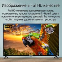 Телевизор MAUNFELD MLT43FST02 - Превью изображения №14 — Интернет-магазин 55texno.by