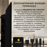 Телевизор MAUNFELD MLT43FST02 - Превью изображения №17 — Интернет-магазин 55texno.by