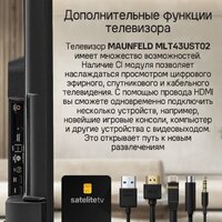 Телевизор MAUNFELD MLT43UST02 - Превью изображения №18 — Интернет-магазин 55texno.by