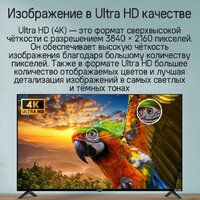 Телевизор MAUNFELD MLT55UST02 - Превью изображения №15 — Интернет-магазин 55texno.by