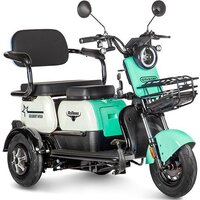 Gelbert Vega 48V/60V 600W (зеленый)
