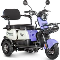 Gelbert Vega 48V/60V 600W (фиолетовый)