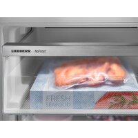 Холодильник Liebherr ICBNSd 5623 Plus BioFresh NoFrost - Превью изображения №18 — Интернет-магазин 55texno.by