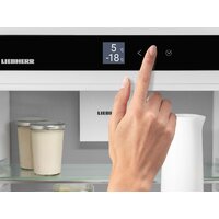 Холодильник Liebherr ICBNSd 5623 Plus BioFresh NoFrost - Превью изображения №4 — Интернет-магазин 55texno.by