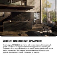 Холодильник Liebherr ICBNSd 5623 Plus BioFresh NoFrost - Превью изображения №22 — Интернет-магазин 55texno.by