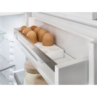 Холодильник Liebherr ICBNSd 5623 Plus BioFresh NoFrost - Превью изображения №9 — Интернет-магазин 55texno.by