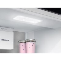 Холодильник Liebherr ICBNSd 5623 Plus BioFresh NoFrost - Превью изображения №5 — Интернет-магазин 55texno.by