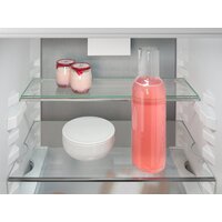 Холодильник Liebherr ICBNSd 5623 Plus BioFresh NoFrost - Превью изображения №8 — Интернет-магазин 55texno.by