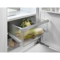 Холодильник Liebherr ICBNSd 5623 Plus BioFresh NoFrost - Превью изображения №15 — Интернет-магазин 55texno.by