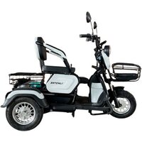 Shtenli Model 31 SLA 60V 20Ач