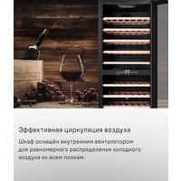 Винный шкаф MAUNFELD MFWC-201D77 - Превью изображения №11 — Интернет-магазин 55texno.by