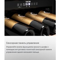 Винный шкаф MAUNFELD MFWC-201D77 - Превью изображения №12 — Интернет-магазин 55texno.by