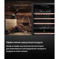 Винный шкаф MAUNFELD MFWC-124D49 - Превью изображения №11 — Интернет-магазин 55texno.by