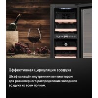 Винный шкаф MAUNFELD MBWC-56D17 - Превью изображения №9 — Интернет-магазин 55texno.by