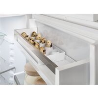 Холодильник Liebherr ICNd 5123 Plus NoFrost 5123-22001 - Превью изображения №8 — Интернет-магазин 55texno.by
