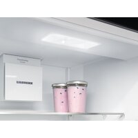 Холодильник Liebherr ICNd 5123 Plus NoFrost 5123-22001 - Превью изображения №12 — Интернет-магазин 55texno.by