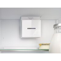 Холодильник Liebherr ICNd 5123 Plus NoFrost 5123-22001 - Превью изображения №13 — Интернет-магазин 55texno.by