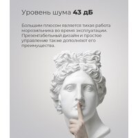 Морозильник MAUNFELD MFFR170SB - Превью изображения №16 — Интернет-магазин 55texno.by