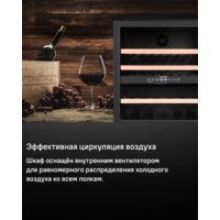 Винный шкаф MAUNFELD MBWC-92D36 - Превью изображения №11 — Интернет-магазин 55texno.by