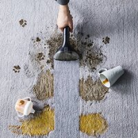 Пылесос Tefal Clean It IZ5020 - Превью изображения №7 — Интернет-магазин 55texno.by