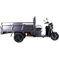 Rutrike D4 1800 60V 1200W (серый)