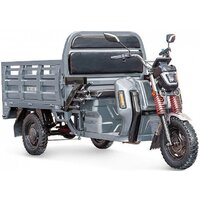 Rutrike Антей Pro 1500 60V 1200W (серый)