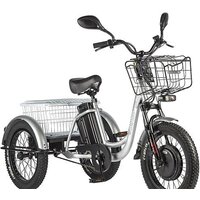 Eltreco Porter Fat 700 (серебристый)